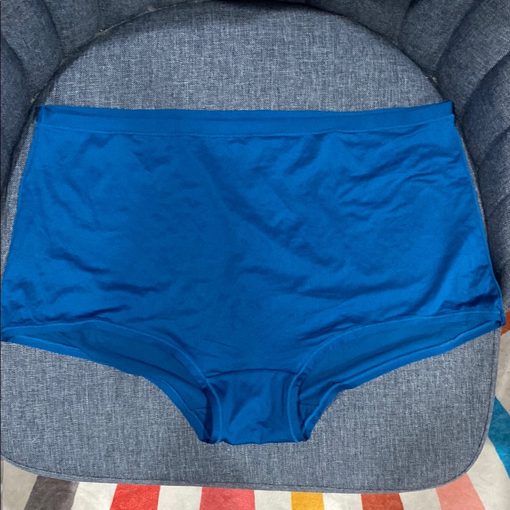 3/$10 NWOT Fruit of the Loom Blue High-Waist Panties